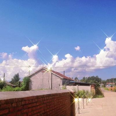 魔幻无双bt版下载
